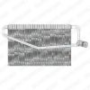 DELPHI TSP0525156 Evaporator, air conditioning